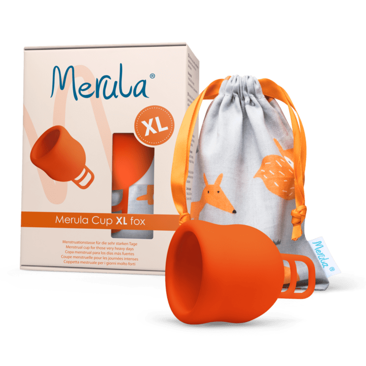 Merula Cup XL fox 1