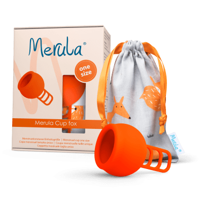 Merula Cup fox